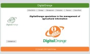 Digital Orange website